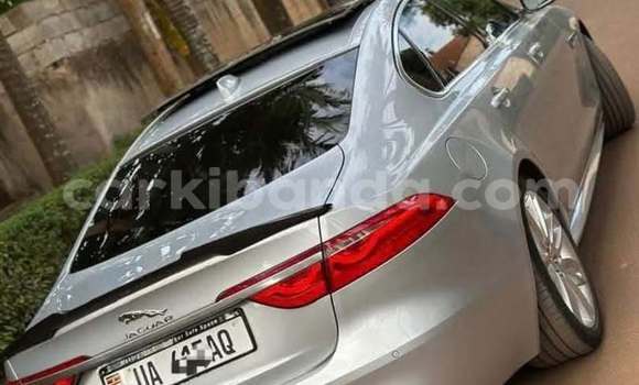 Acheter Occasion Voiture Jaguar XF Autre à Kampala, Ouganda Acheter Occasion Voiture Jaguar XF Autre à Kampala, Ouganda