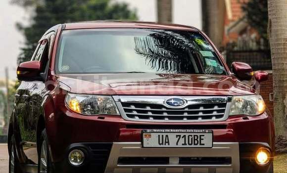 Buy Used Subaru Forester Red Car in Kampala in Uganda