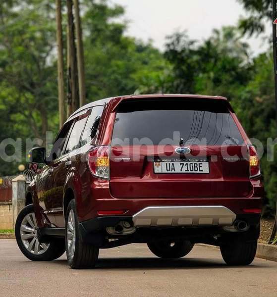 Big with watermark subaru forester uganda kampala 24258
