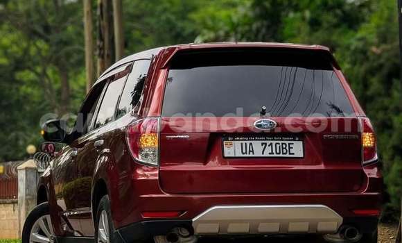 Buy Used Subaru Forester Red Car in Kampala in Uganda Buy Used Subaru Forester Red Car in Kampala in Uganda