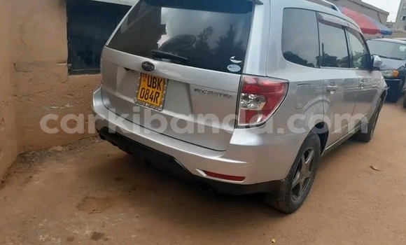 Buy Used Subaru Forester Other Car in Bugiri in Eastern Buy Used Subaru Forester Other Car in Bugiri in Eastern
