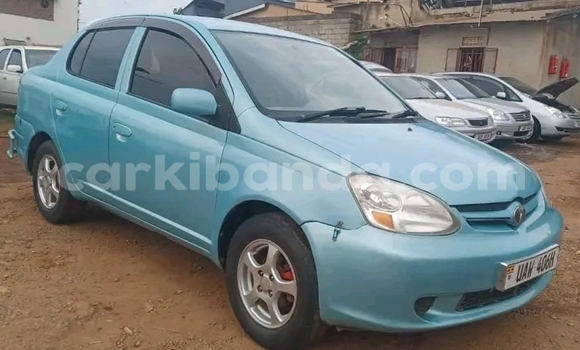 Nunua Ilio tumika Toyota Platz Nyingine Gari ndani ya Bugiri nchini Mashariki Nunua Ilio tumika Toyota Platz Nyingine Gari ndani ya Bugiri nchini Mashariki