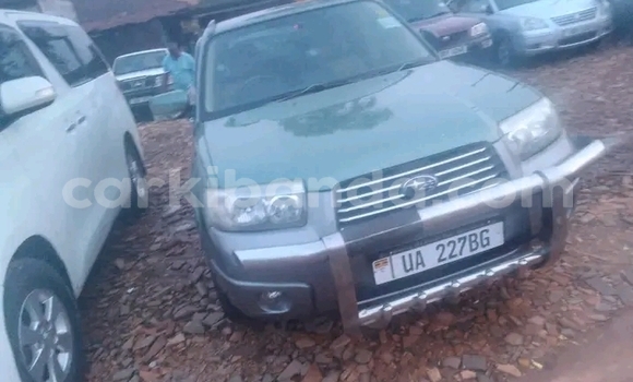 Nunua Ilio tumika Subaru Forester Nyingine Gari ndani ya Bugiri nchini Mashariki Nunua Ilio tumika Subaru Forester Nyingine Gari ndani ya Bugiri nchini Mashariki