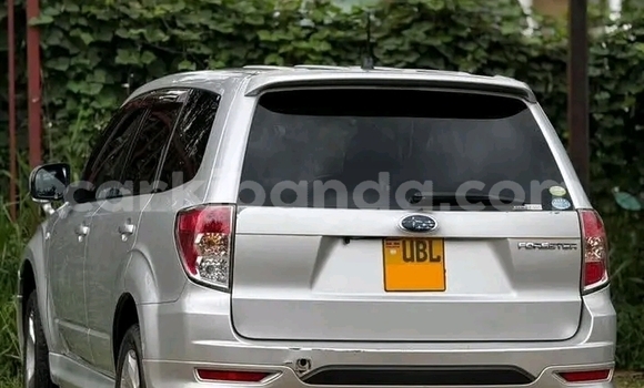 Nunua Ilio tumika Subaru Forester Nyingine Gari ndani ya Bugiri nchini Mashariki Nunua Ilio tumika Subaru Forester Nyingine Gari ndani ya Bugiri nchini Mashariki