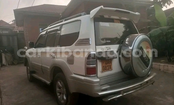 Nunua Ilio tumika Toyota Land Cruiser Prado Nyeupe Gari ndani ya Bugiri nchini Mashariki Nunua Ilio tumika Toyota Land Cruiser Prado Nyeupe Gari ndani ya Bugiri nchini Mashariki