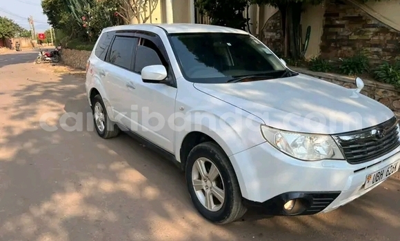 Nunua Ilio tumika Subaru Forester Nyeupe Gari ndani ya Bugiri nchini Mashariki Nunua Ilio tumika Subaru Forester Nyeupe Gari ndani ya Bugiri nchini Mashariki