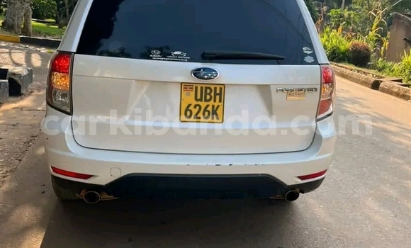 Nunua Ilio tumika Subaru Forester Nyeupe Gari ndani ya Bugiri nchini Mashariki Nunua Ilio tumika Subaru Forester Nyeupe Gari ndani ya Bugiri nchini Mashariki