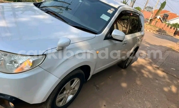 Nunua Ilio tumika Subaru Forester Nyeupe Gari ndani ya Bugiri nchini Mashariki Nunua Ilio tumika Subaru Forester Nyeupe Gari ndani ya Bugiri nchini Mashariki