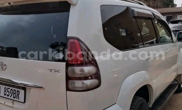 Nunua Ilio tumika Toyota Land Cruiser Prado Nyeupe Gari ndani ya Bugembe nchini Mashariki Nunua Ilio tumika Toyota Land Cruiser Prado Nyeupe Gari ndani ya Bugembe nchini Mashariki