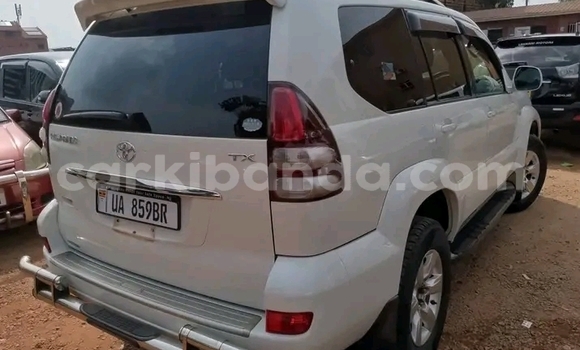Nunua Ilio tumika Toyota Land Cruiser Prado Nyeupe Gari ndani ya Bugembe nchini Mashariki Nunua Ilio tumika Toyota Land Cruiser Prado Nyeupe Gari ndani ya Bugembe nchini Mashariki