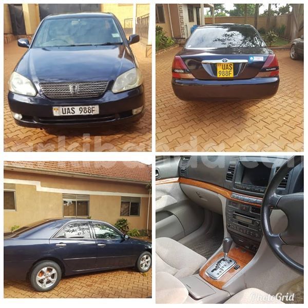 Big with watermark 50546857 2624522327574249 3544885647556739072 n