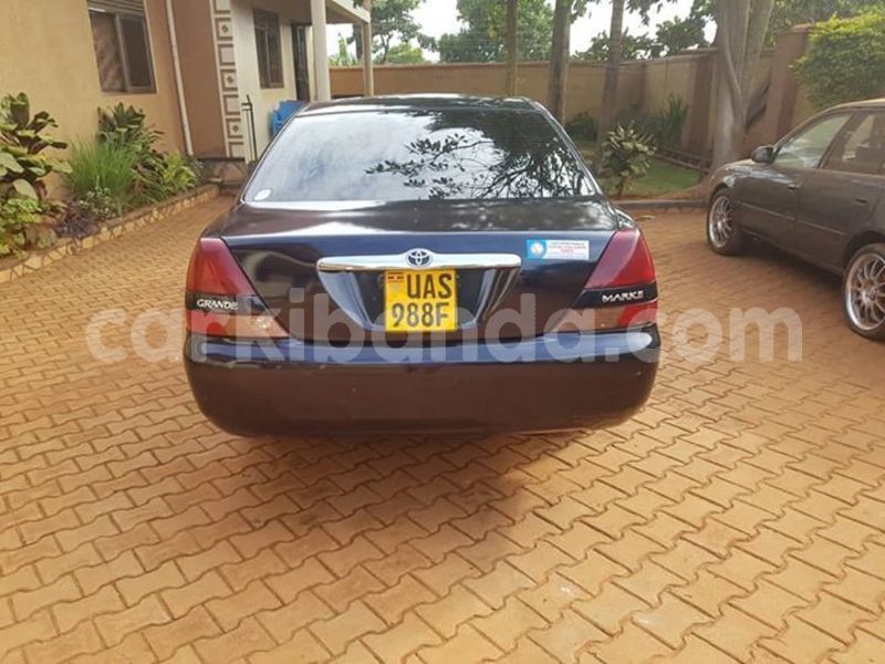 Big with watermark 50728568 2624522200907595 295712501239119872 n