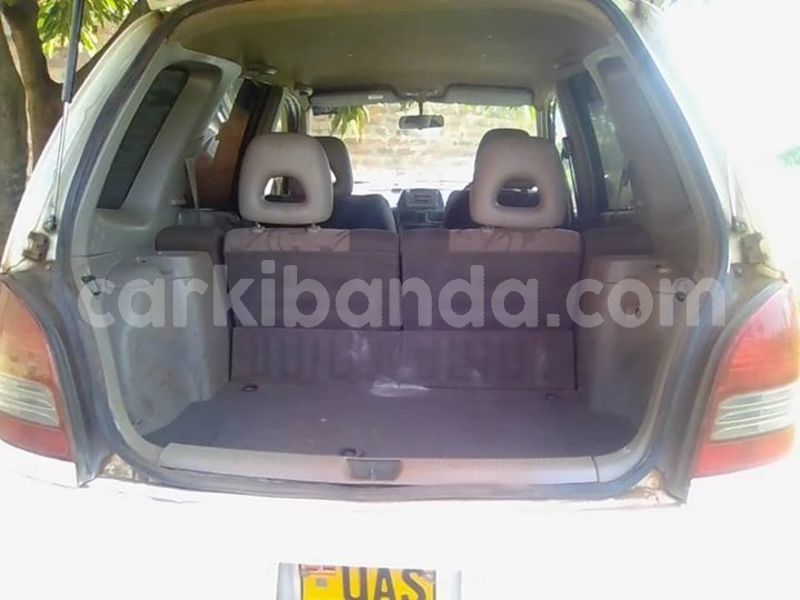 Big with watermark 50612734 2624536484239500 8948456536062033920 n