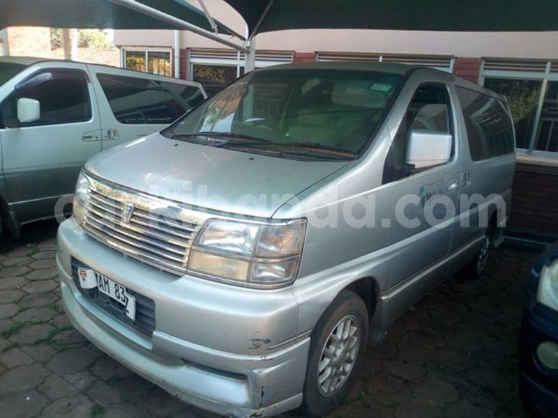 Big with watermark 49766418 2600071073352708 7994739428574625792 n