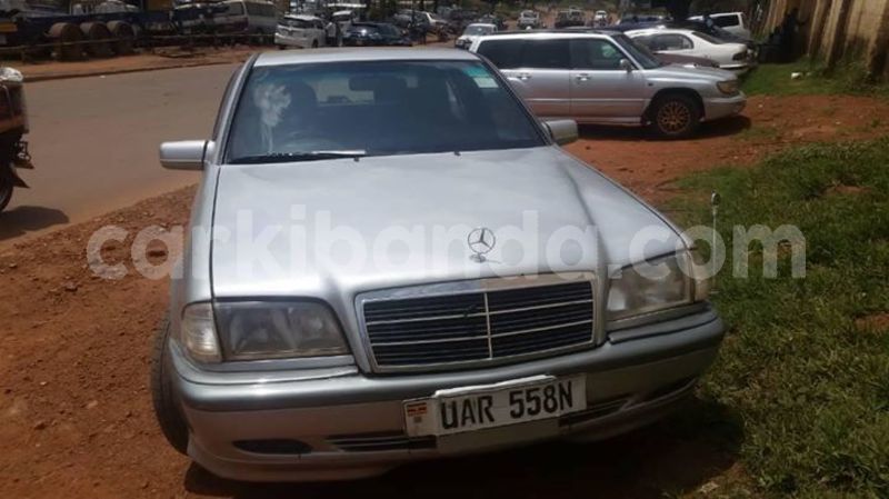 Big with watermark 46517245 2526549457371537 7245580025573933056 o