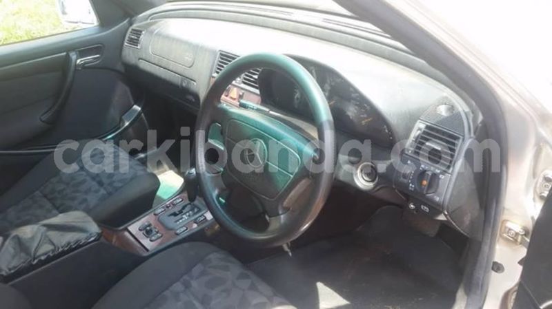 Big with watermark 46752320 2526549587371524 9182250770127388672 o