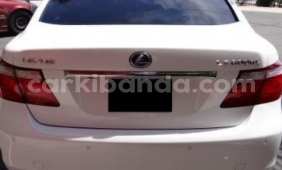Buy Used Lexus ES 300 White Car in Arua in Uganda