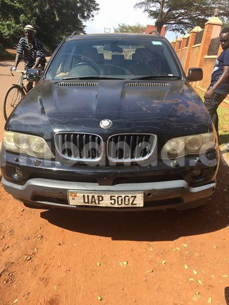 Big with watermark 42562177 2436190149740802 7646667625275064320 n