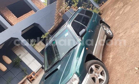 Buy Used Subaru Forester Green Car in Kampala in Uganda Buy Used Subaru Forester Green Car in Kampala in Uganda