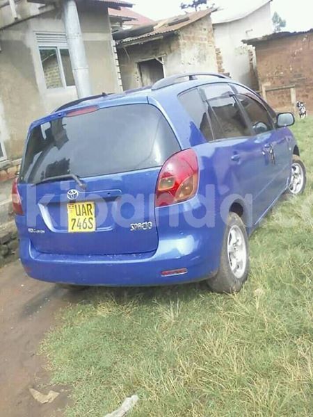 Big with watermark 51152740 246512169605878 7292861254656327680 n