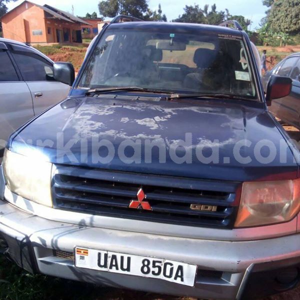 Big with watermark 51229435 246512316272530 2146456682664820736 n