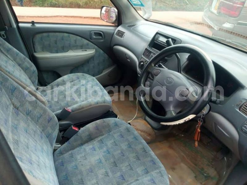 Big with watermark 51039833 246107776312984 3923368009745301504 o