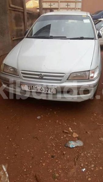 Big with watermark 50540685 244964423093986 564102817132838912 n