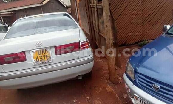 Buy Used Toyota Premio White Car in Kampala in Uganda Buy Used Toyota Premio White Car in Kampala in Uganda