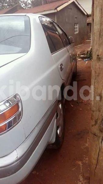 Big with watermark 50530620 244964453093983 2608387257232523264 n