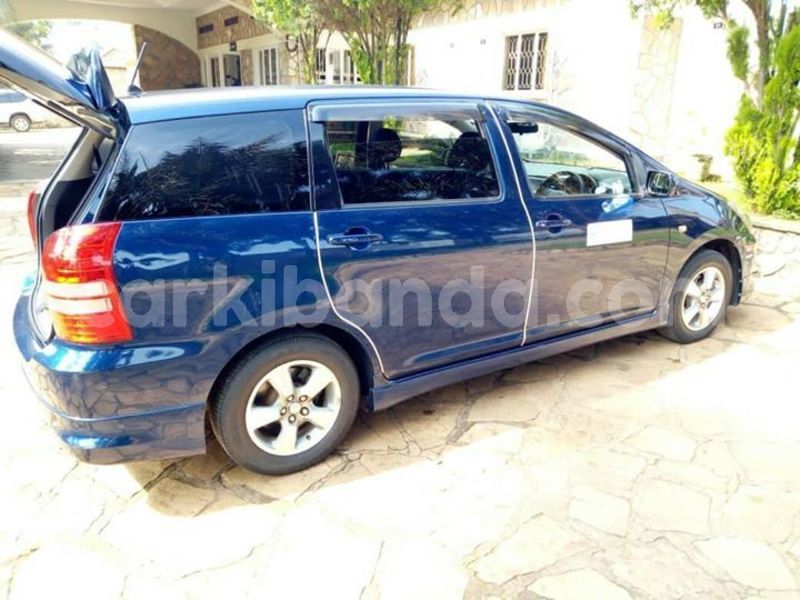 Big with watermark 50773252 244885099768585 5828967470525841408 o