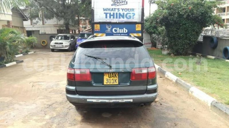 Big with watermark 50778354 244885246435237 3374594459172864 o