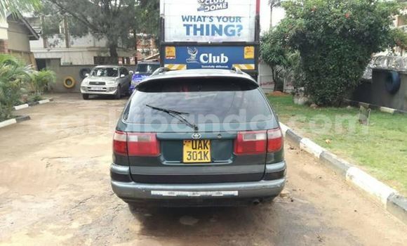 Buy Used Toyota Carina Green Car in Kampala in Uganda Buy Used Toyota Carina Green Car in Kampala in Uganda