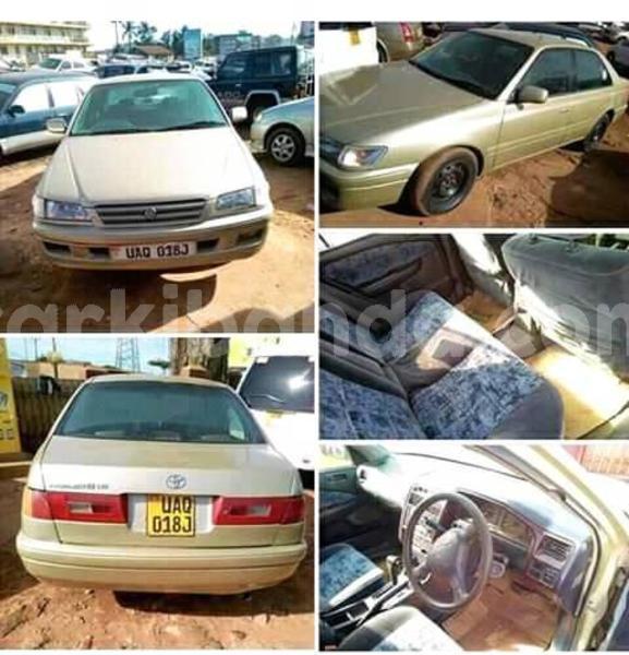 Big with watermark 46508683 205577447032684 1834493833358868480 n