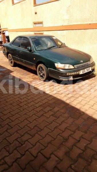 Big with watermark 46491828 204938080429954 1150121246059397120 n