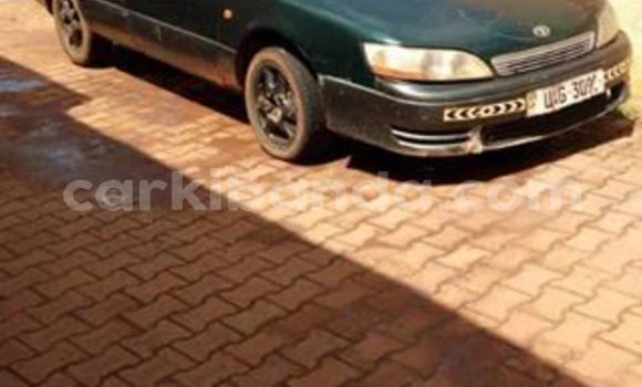 Buy Used Toyota Windom Green Car in Kampala in Uganda Buy Used Toyota Windom Green Car in Kampala in Uganda