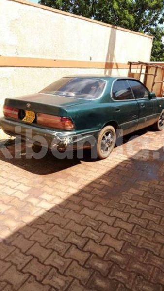 Big with watermark 46502149 204938063763289 3123827012569923584 n