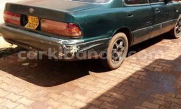 Buy Used Toyota Windom Green Car in Kampala in Uganda Buy Used Toyota Windom Green Car in Kampala in Uganda