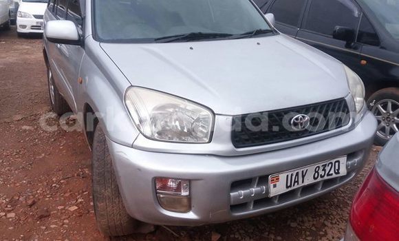 Buy Used Toyota RAV4 Silver Car in Kampala in Uganda Buy Used Toyota RAV4 Silver Car in Kampala in Uganda