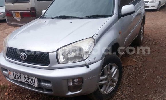 Buy Used Toyota RAV4 Silver Car in Kampala in Uganda Buy Used Toyota RAV4 Silver Car in Kampala in Uganda