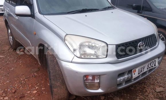 Buy Used Toyota RAV4 Silver Car in Kampala in Uganda Buy Used Toyota RAV4 Silver Car in Kampala in Uganda