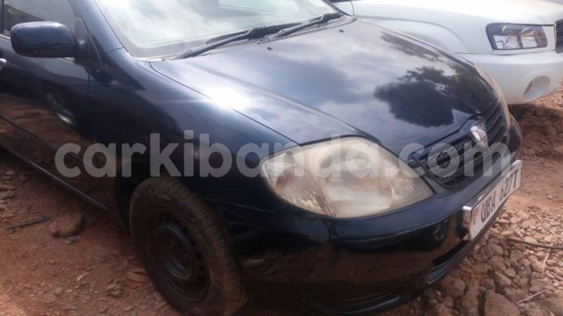 Big with watermark 49896048 492019801331155 7654127652755734528 o