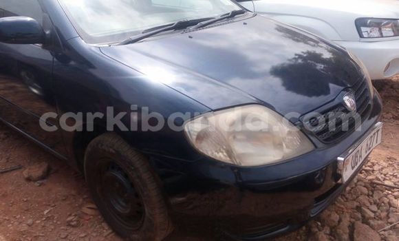 Buy Used Toyota Allex Blue Car in Kampala in Uganda Buy Used Toyota Allex Blue Car in Kampala in Uganda