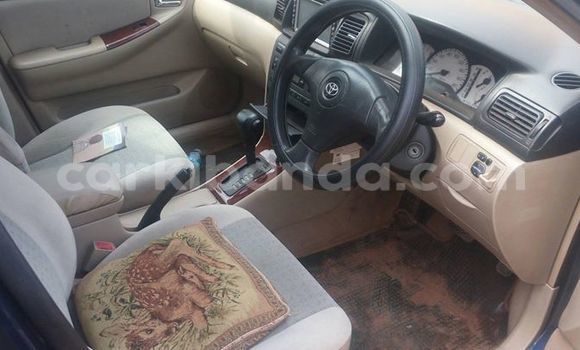 Buy Used Toyota Allex Blue Car in Kampala in Uganda Buy Used Toyota Allex Blue Car in Kampala in Uganda