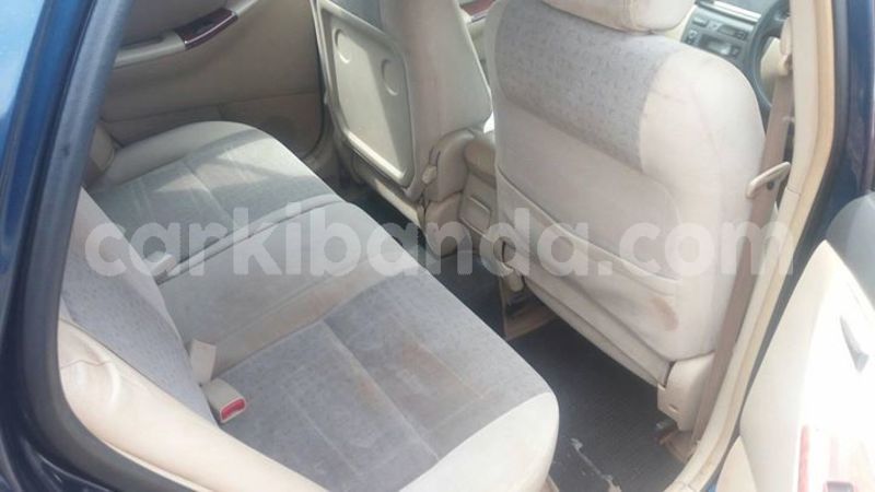 Big with watermark 50321311 492020994664369 6919577752811077632 o