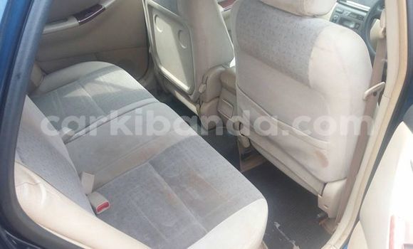Buy Used Toyota Allex Blue Car in Kampala in Uganda Buy Used Toyota Allex Blue Car in Kampala in Uganda