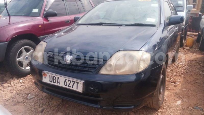 Big with watermark 49864340 492019424664526 7272754279360757760 o