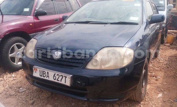 Buy Used Toyota Allex Blue Car in Kampala in Uganda Buy Used Toyota Allex Blue Car in Kampala in Uganda