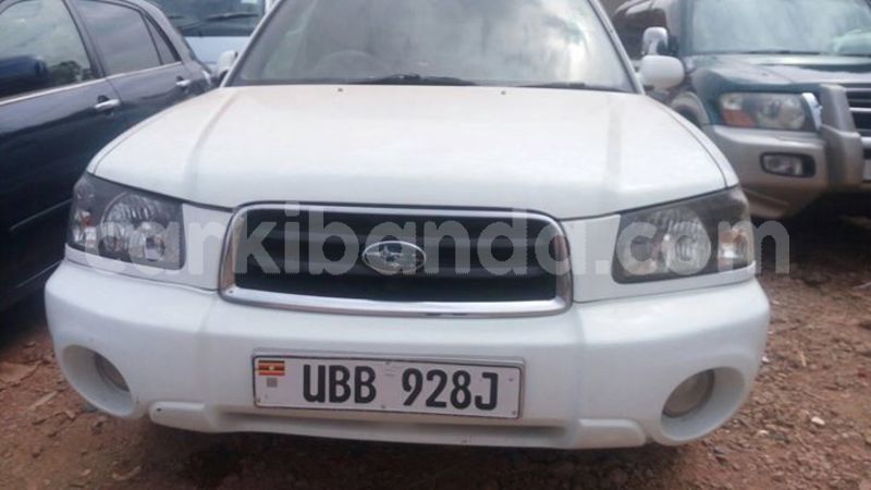 Big with watermark 50445754 492017277998074 3274028620275777536 o