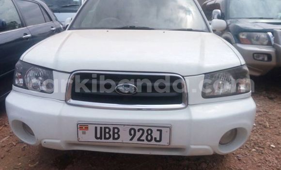 Buy Used Subaru Forester White Car in Kampala in Uganda Buy Used Subaru Forester White Car in Kampala in Uganda
