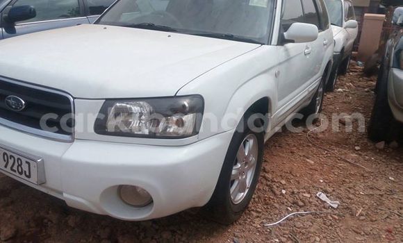 Buy Used Subaru Forester White Car in Kampala in Uganda Buy Used Subaru Forester White Car in Kampala in Uganda